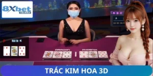 Trac Kim Hoa 3D